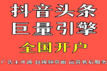 SEM竞价实战：成功案例解析